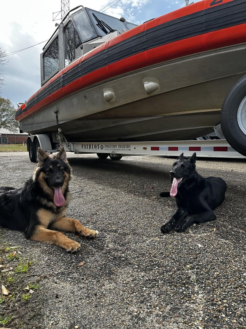 Two German Shepherds resting near a boat