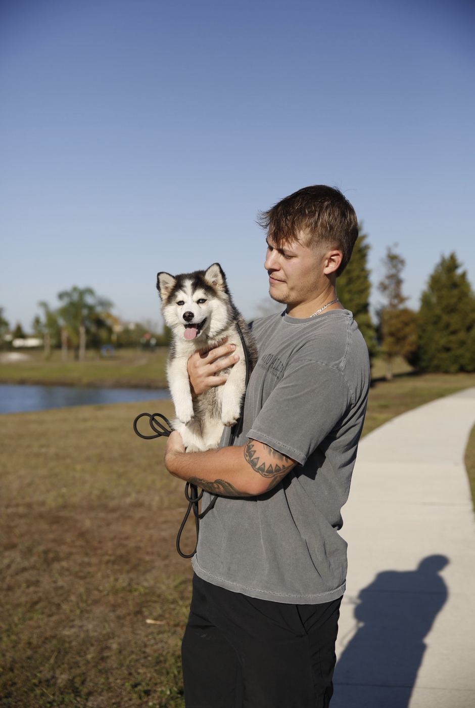 A Pomsky puppy practicing loose-leash walking during basic obedience training in Parrish, Florida